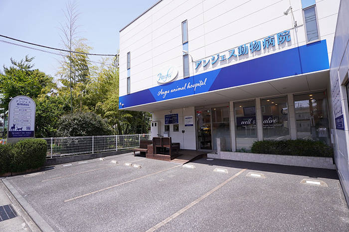 患者様専用駐車場