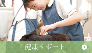 健康サポート
