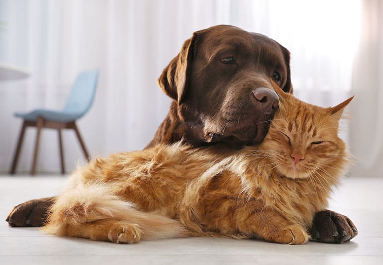 ウェルネスとトータルヘルスケアを実現するために