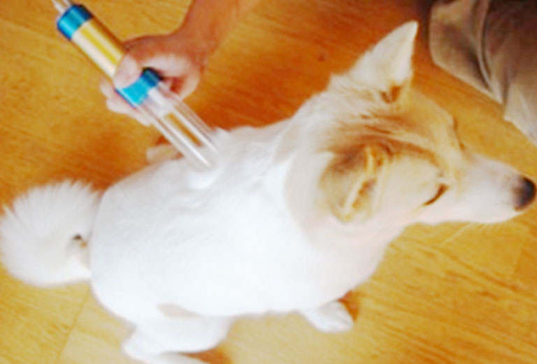 椎間板ヘルニアの治療