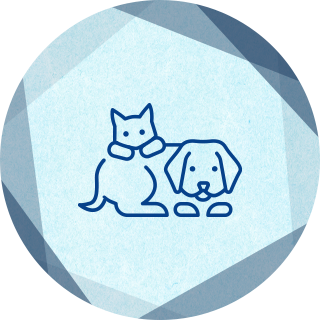 子犬・子猫（パピー・こねこ塾）