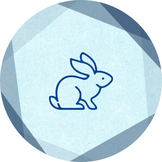 フェレット/ウサギの診療