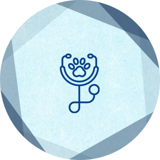 ウェルネス・トータルヘルスケア