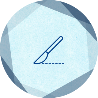 去勢・避妊手術