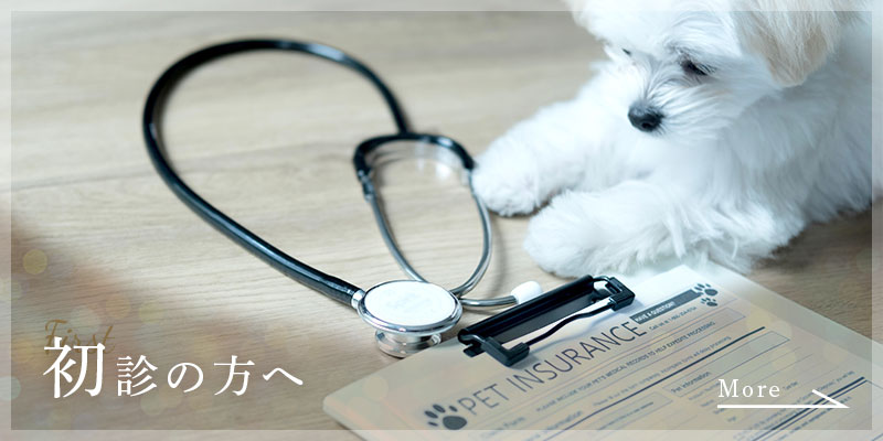 初診の方へ