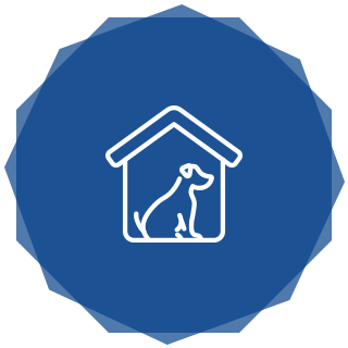 わんわん保育園