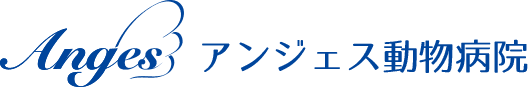 アンジェス動物病院