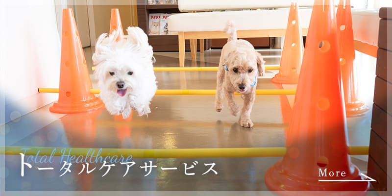 トータルケアサービス