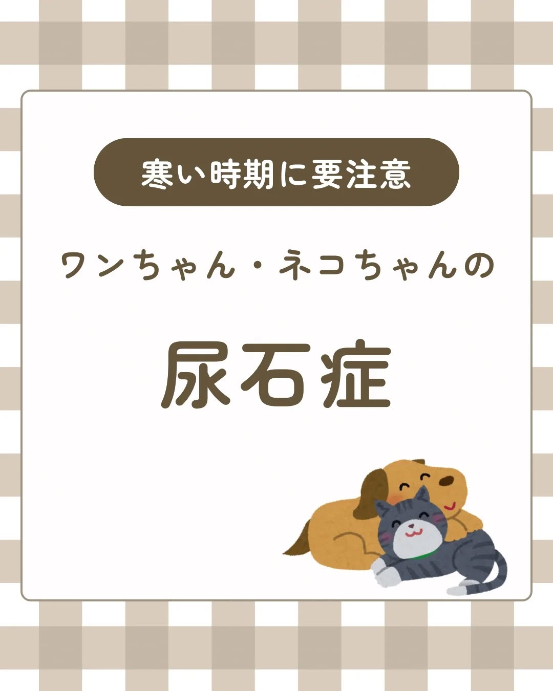 「尿石症」は冬になると多くなる❓