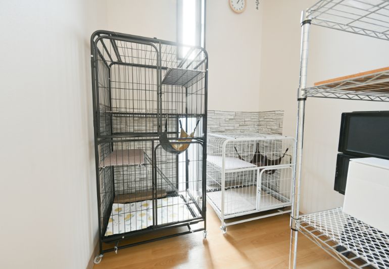 キャットフレンドリールーム