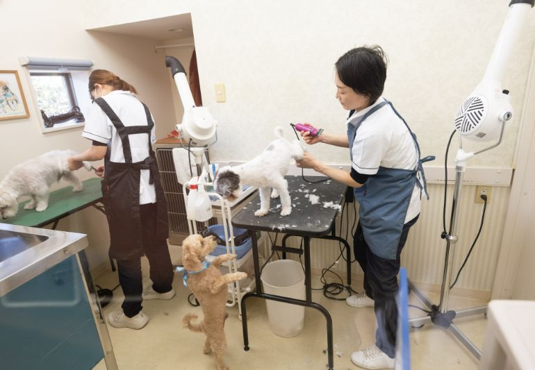 トリミングルーム