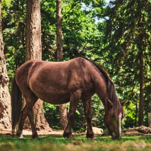 私達は自然に生かされている