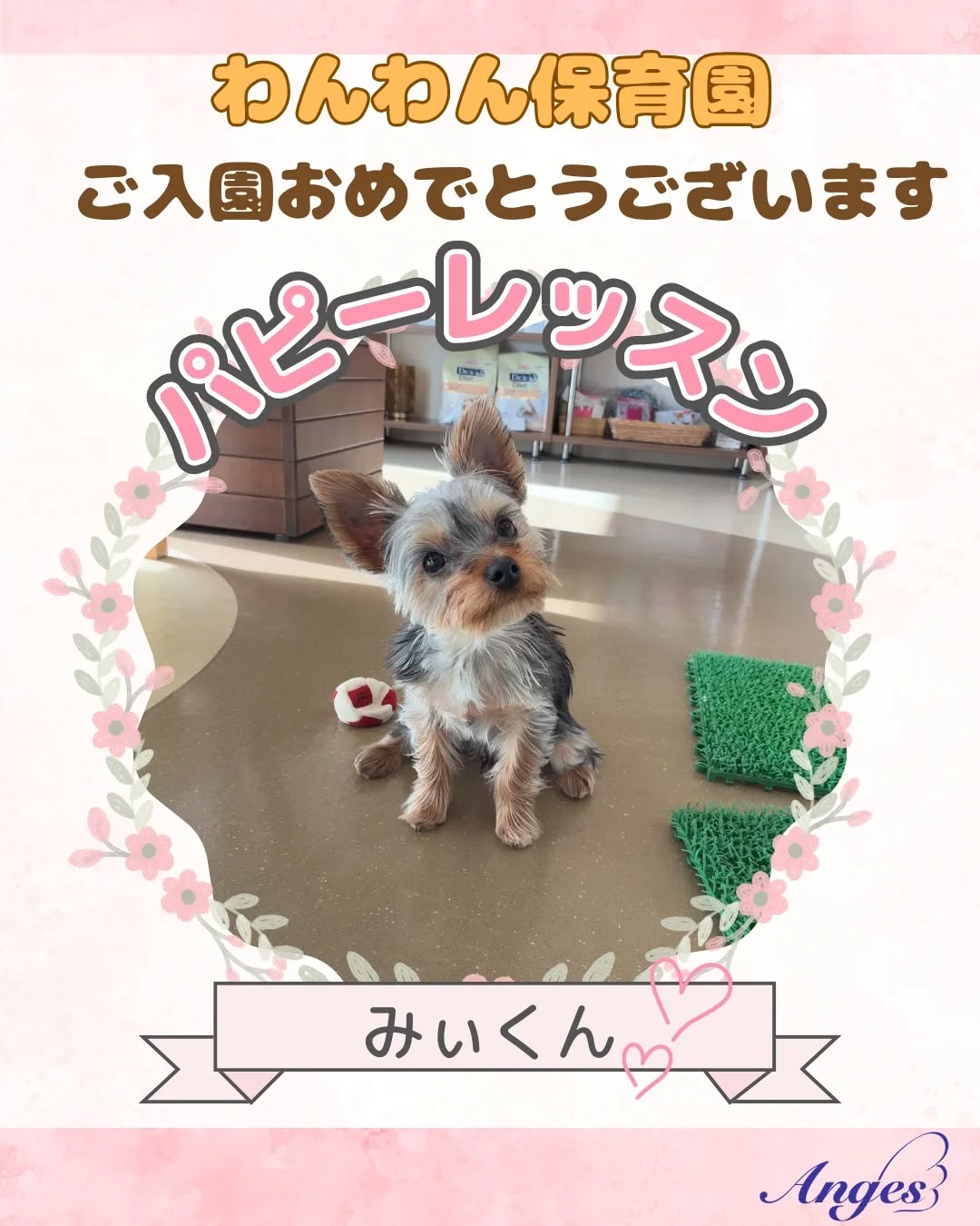 今月のわんわん保育園 初登園のお友だち