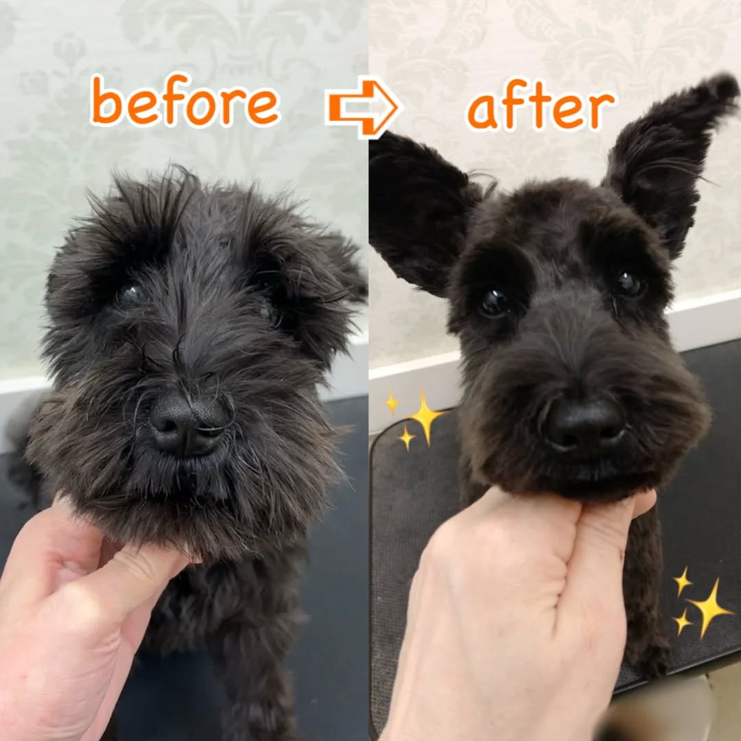 今月のBefore＆Afterのモデルさん