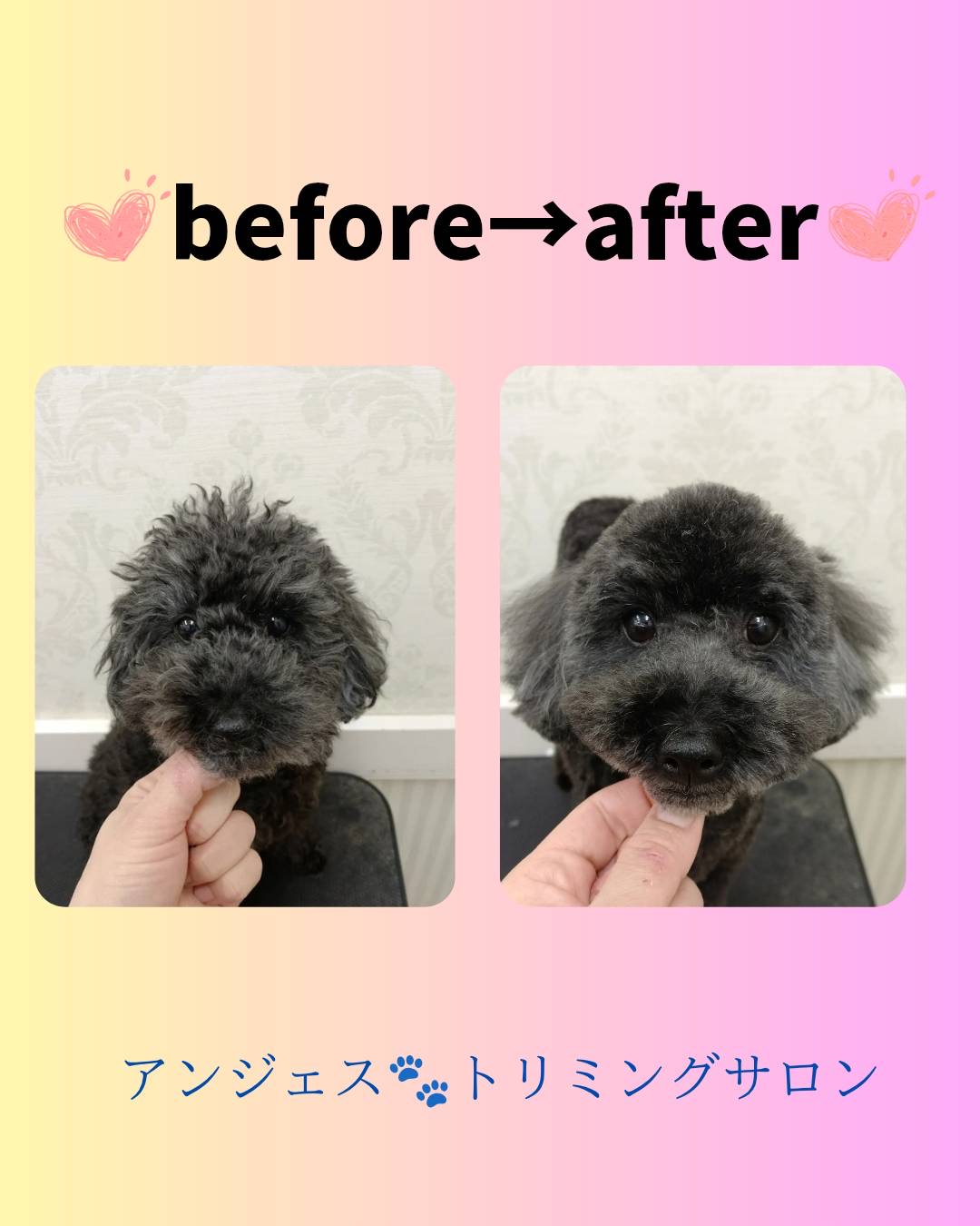 今月のBefore＆Afterのモデルさん