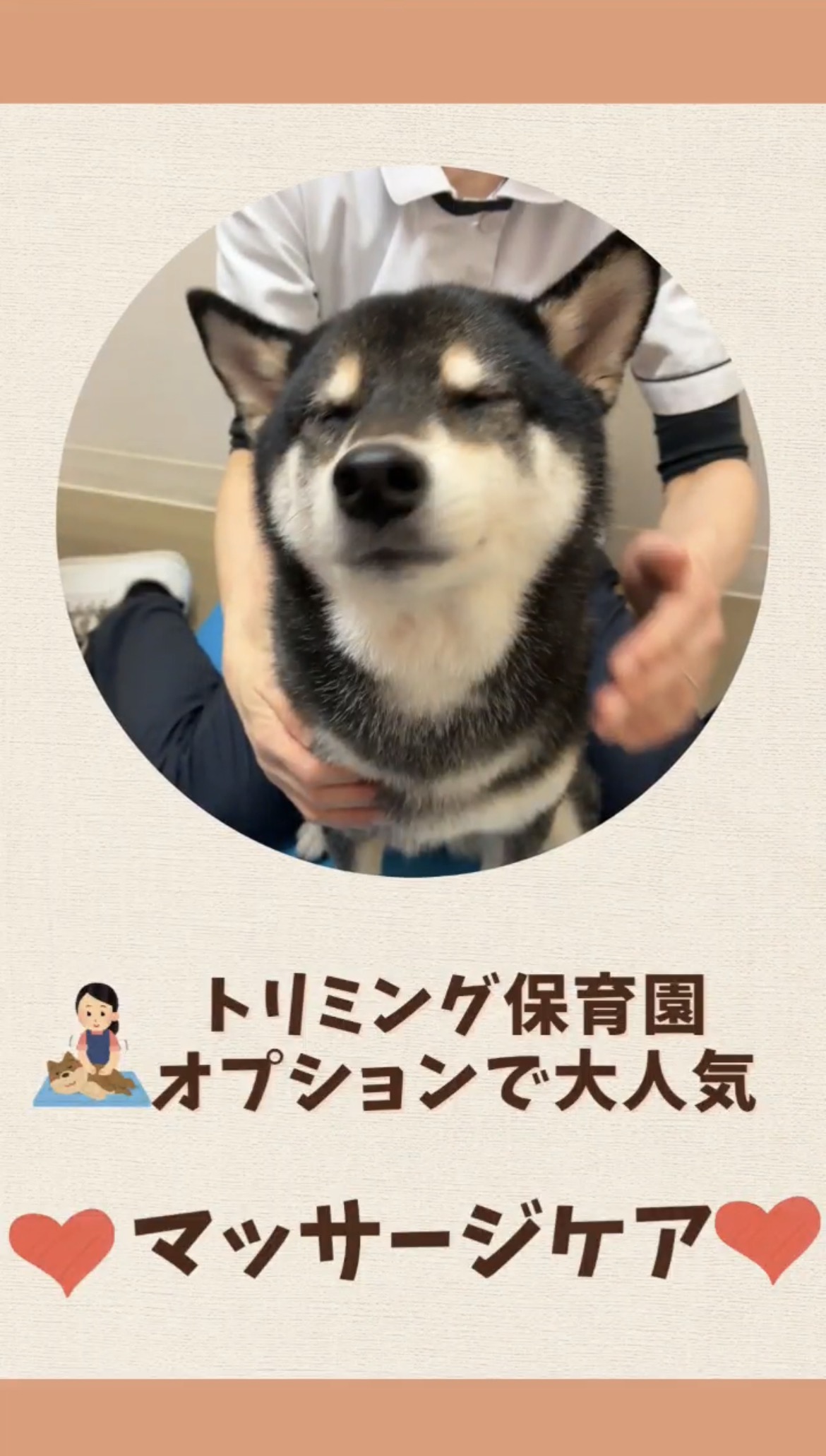 トリミングオプション　マッサージケアの紹介