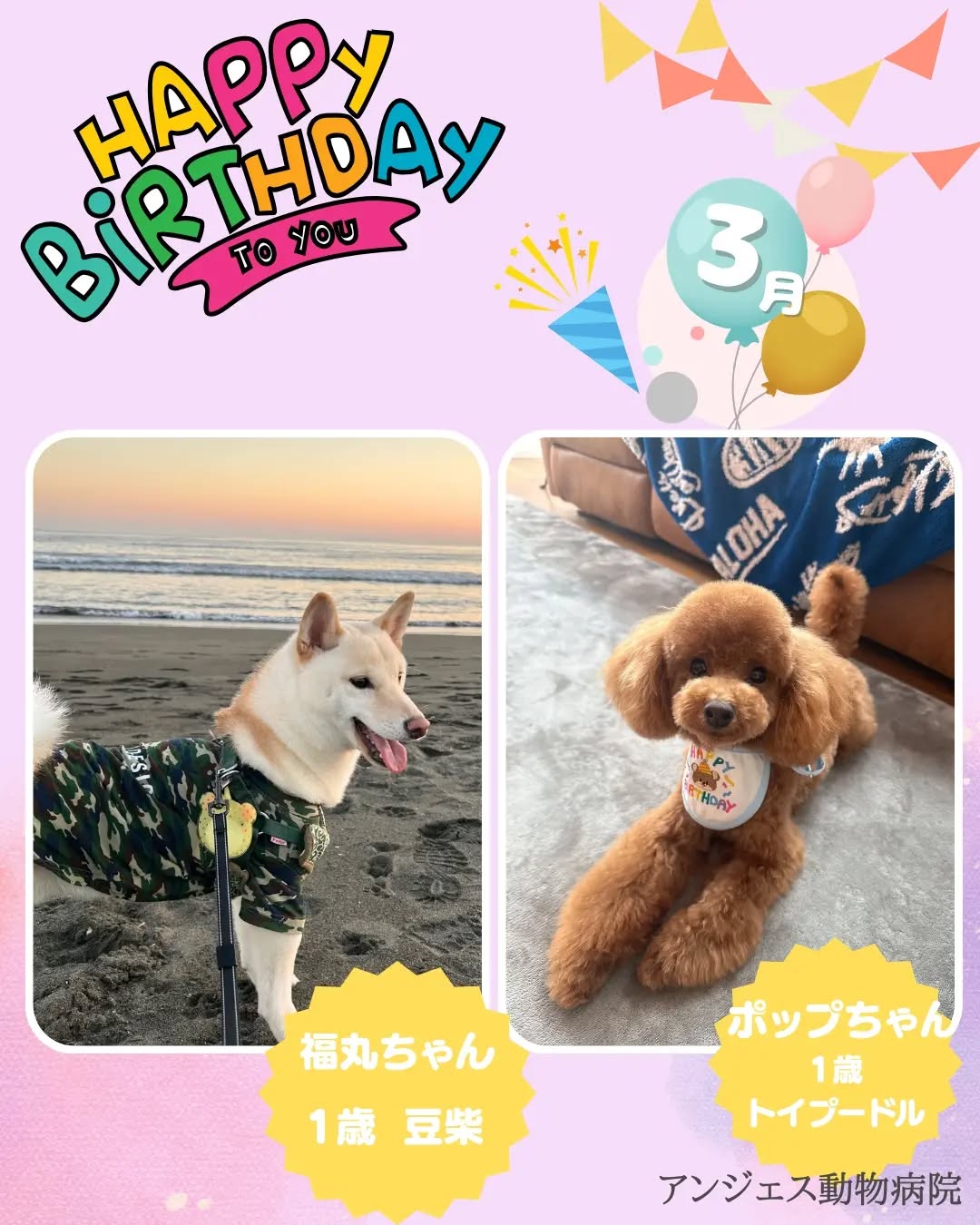 今月のお誕生日のお友だち