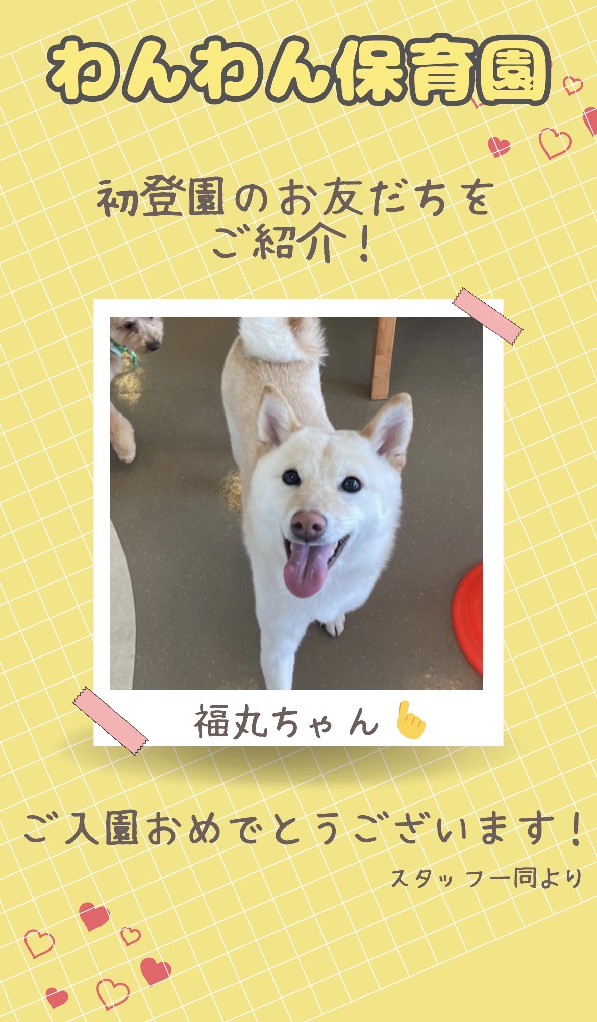 今月のわんわん保育園　初登園のお友だち