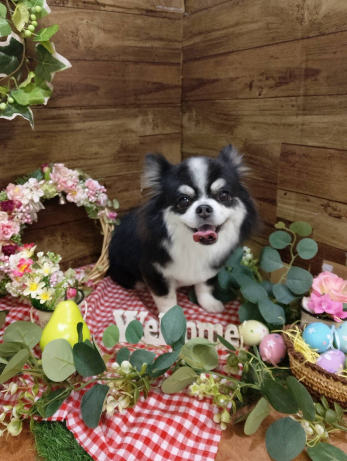 今月のフォトブースの紹介