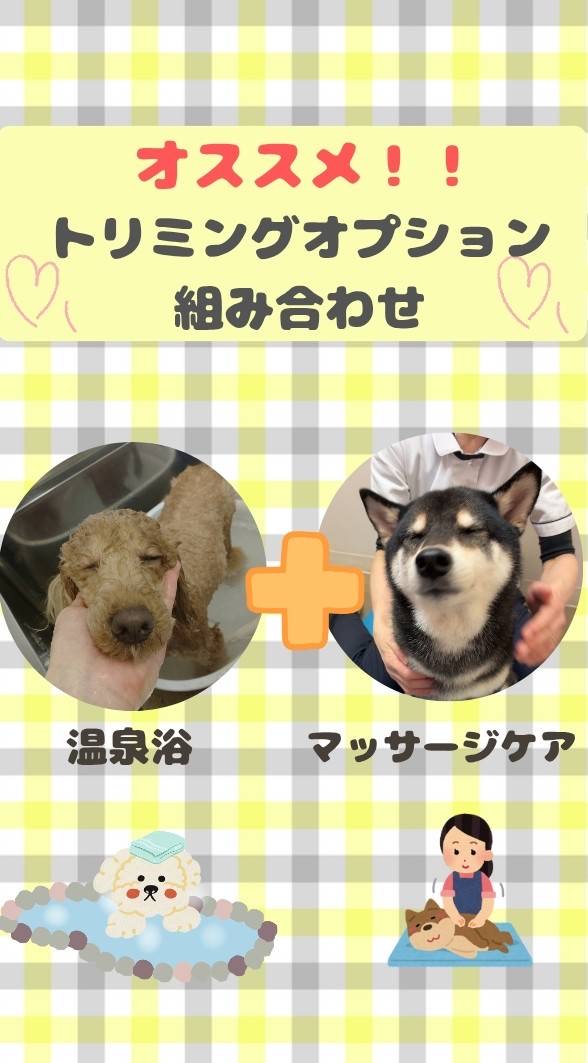 おすすめのトリミングオプションの組み合わせ