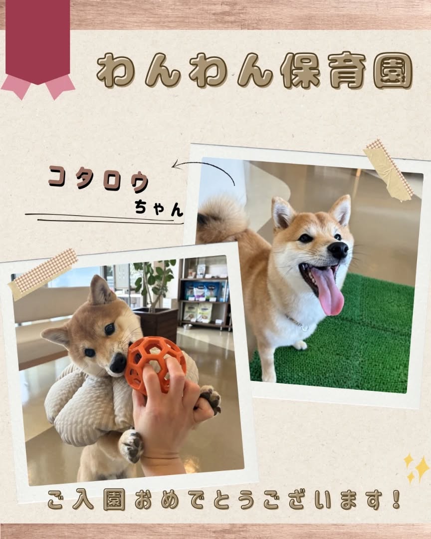 今月のわんわん保育園　初登園のお友だち