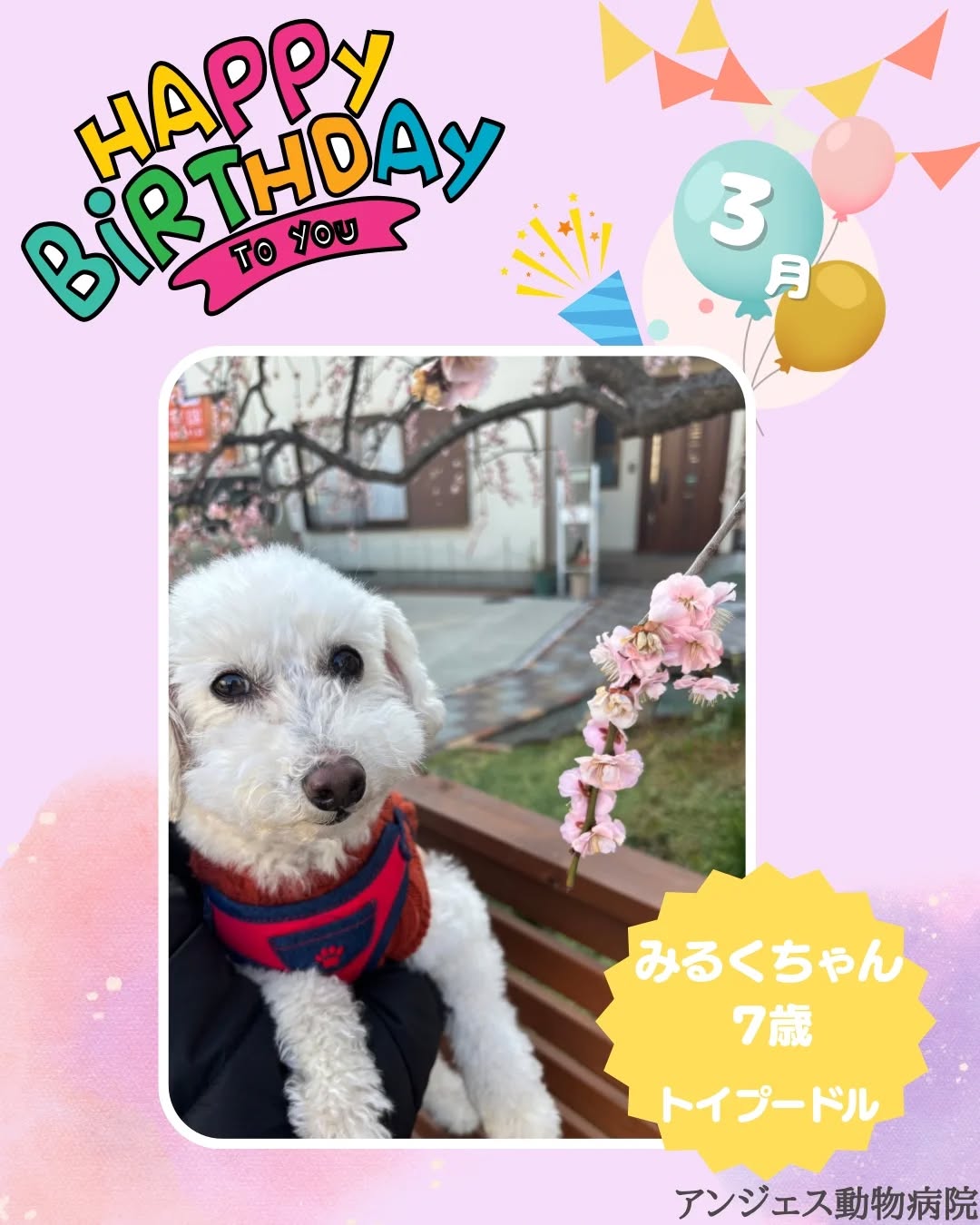 今月のお誕生日のお友だち