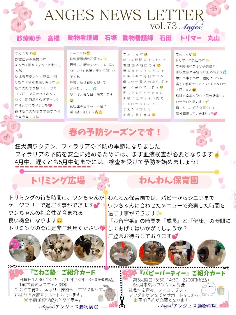 アンジェス動物病院　ニュースレター【Vol.73】