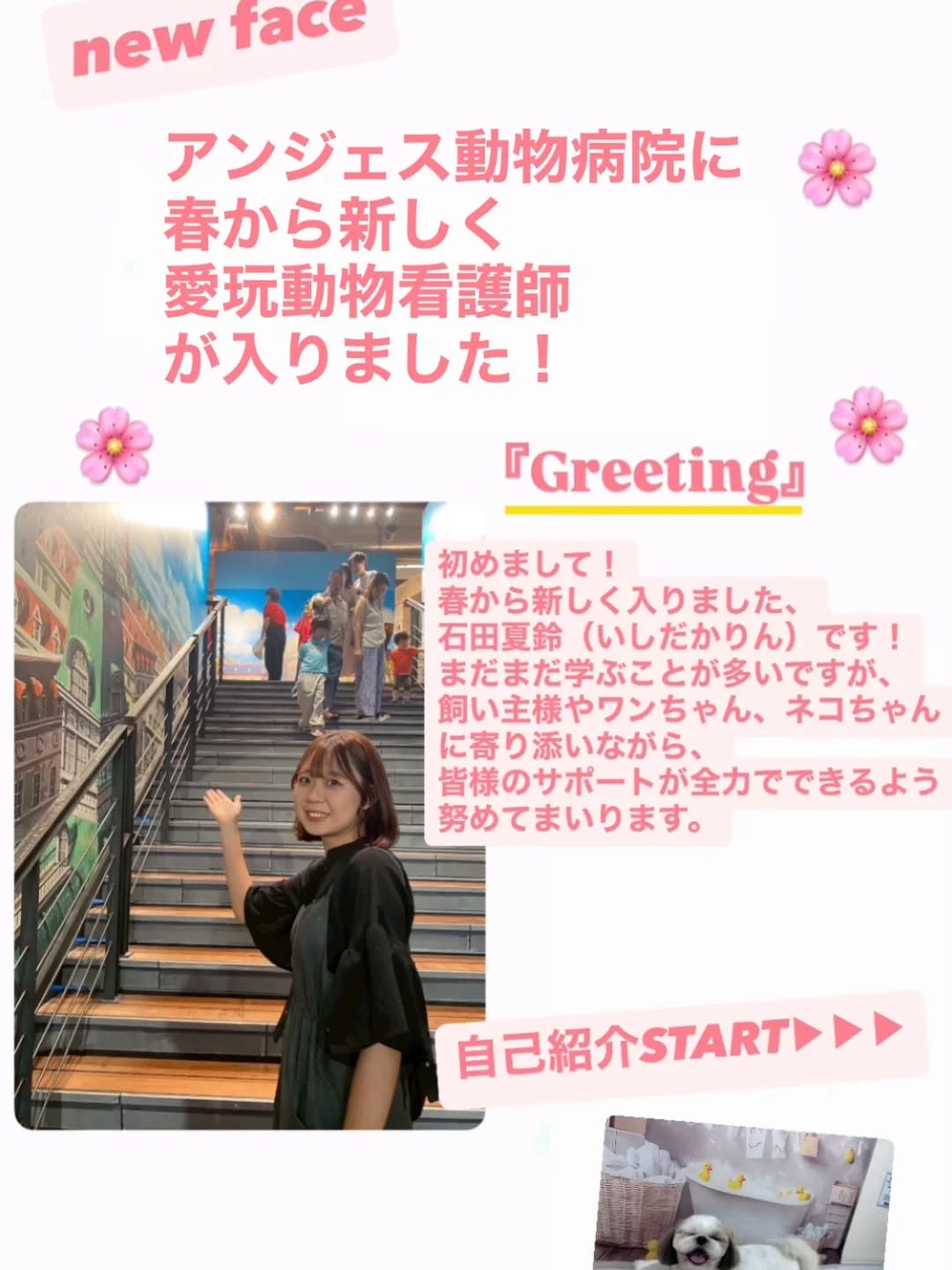 アンジェス動物病院に仲間が増えました♬