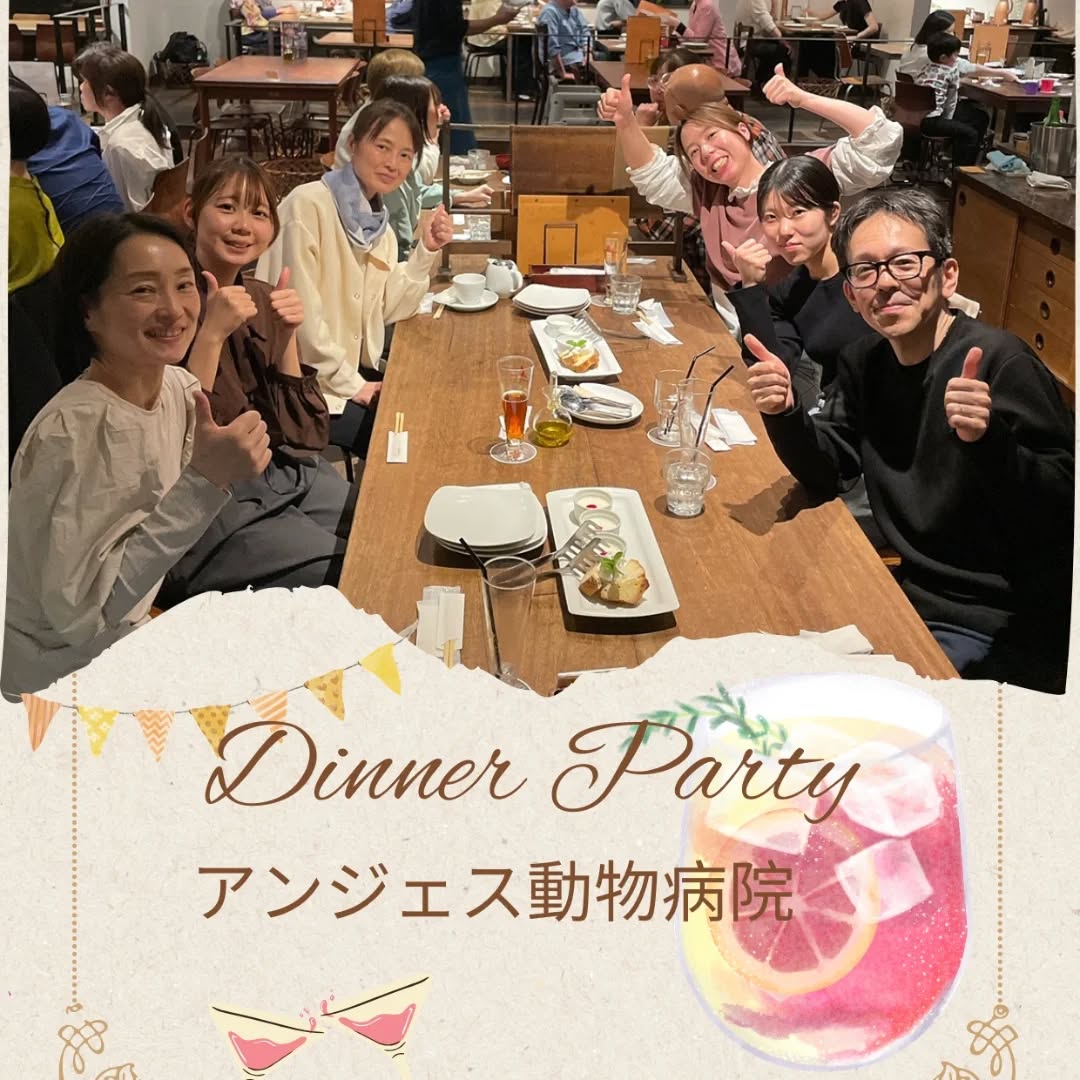 歓迎会を開催しました✨