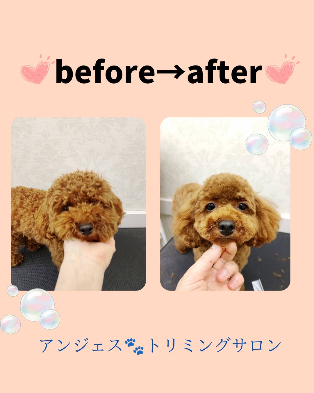 今月のBefore＆Afterのモデルさん