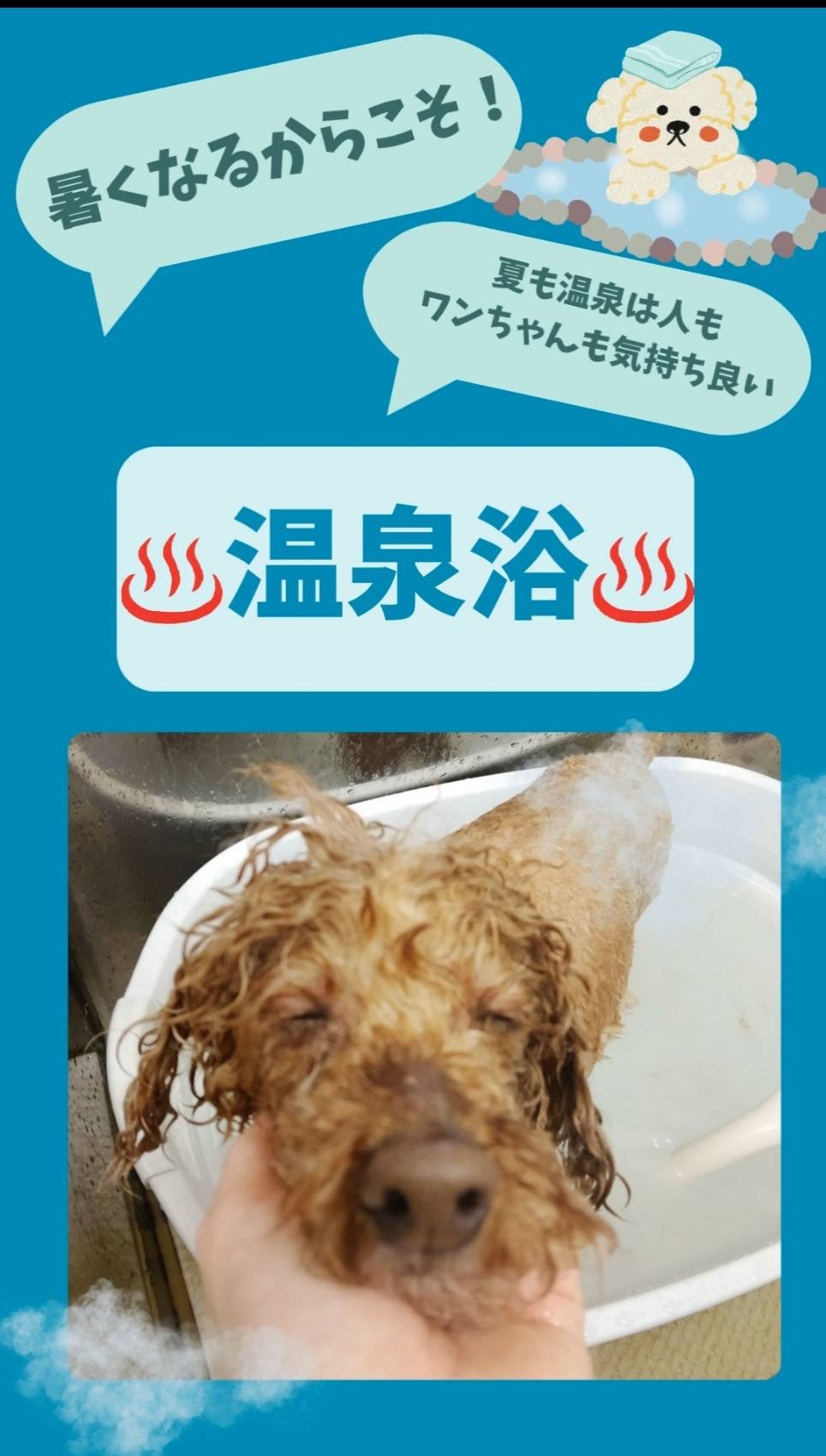 暑い時期でも温泉浴？
