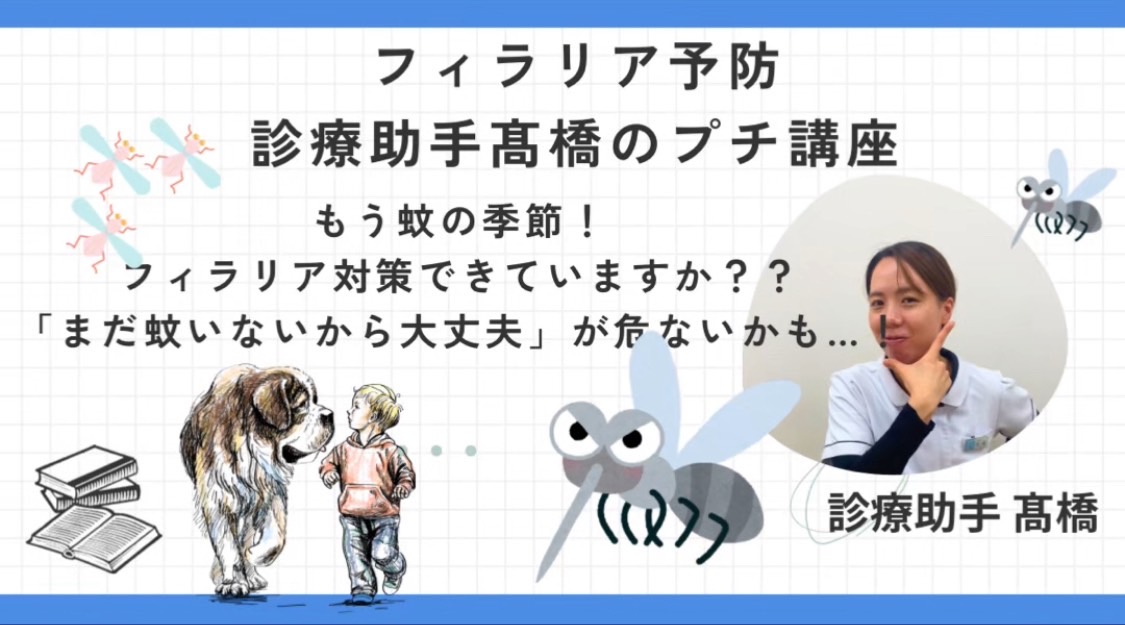 フィラリア症予防はお済みですか？