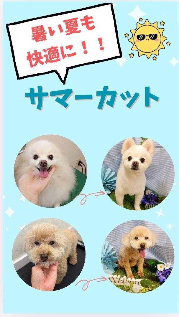 暑い夏を快適に