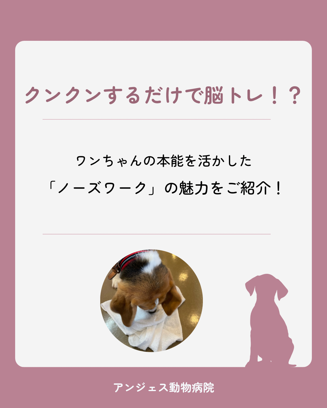 ワンちゃんの脳トレ